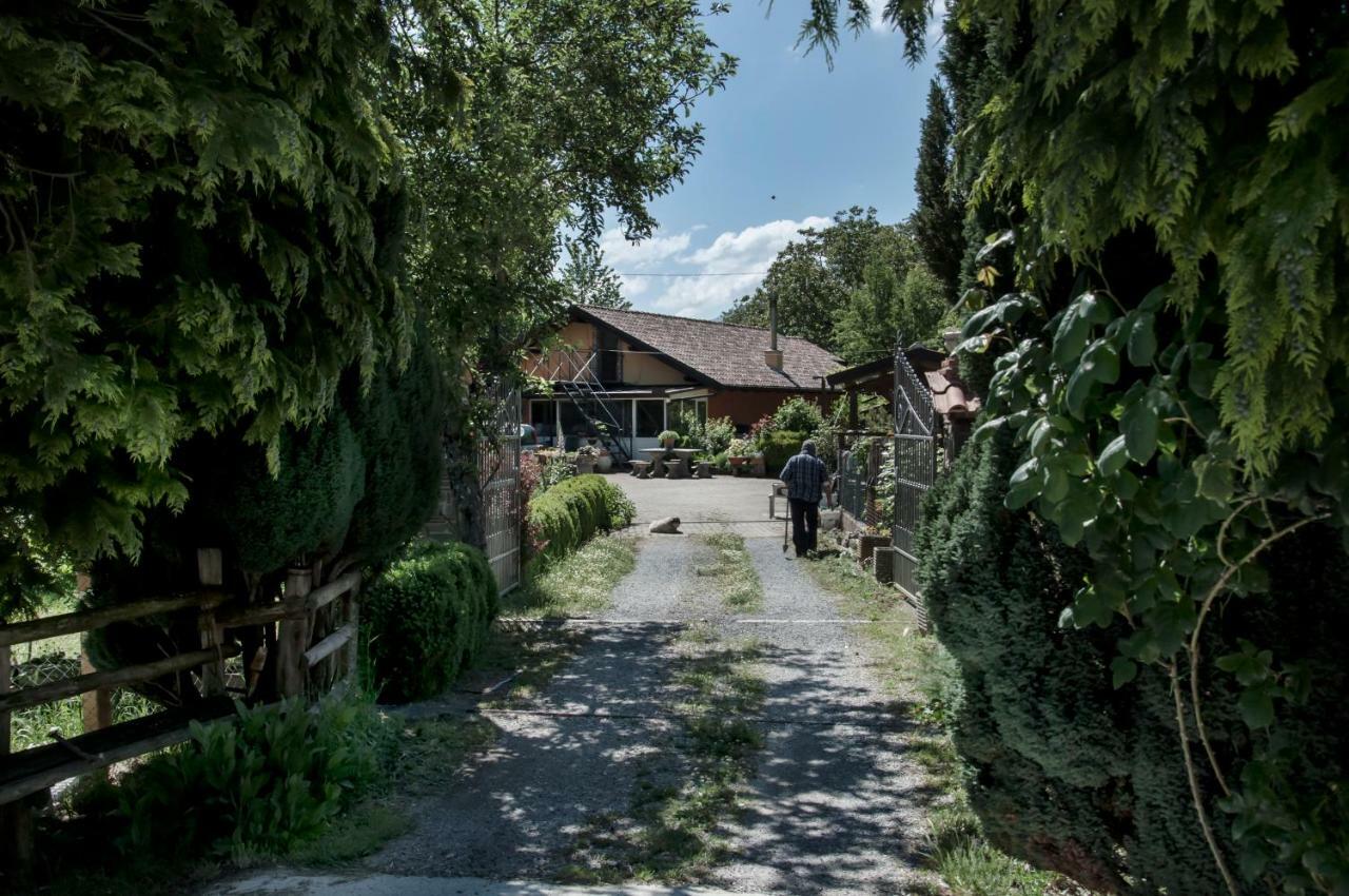 La Locanda Degli Elfi Viggianello Ngoại thất bức ảnh